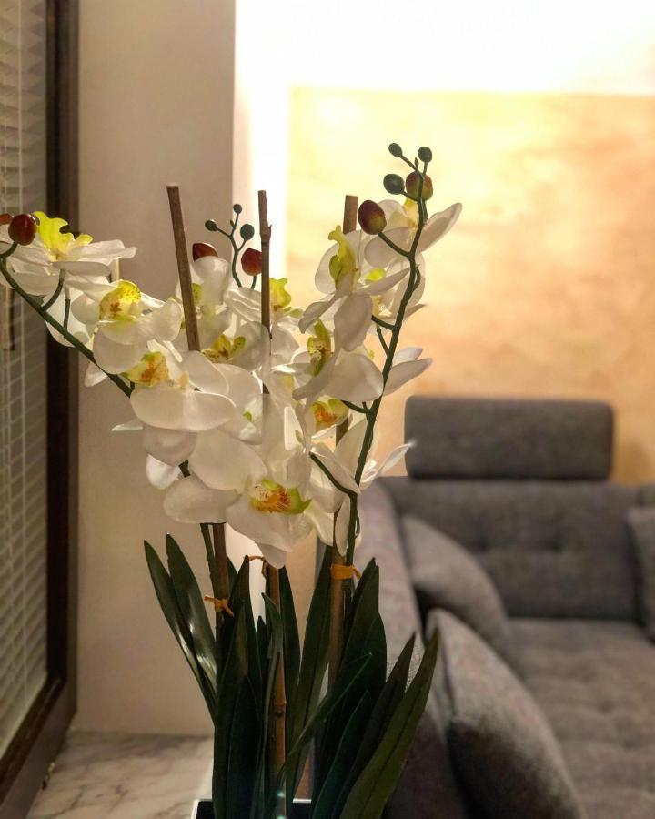 Apartment Landscape ゴレンスカ地方 エクステリア 写真